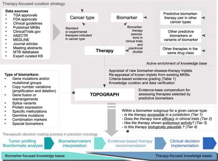 Ati nurse logic knowledge and clinical judgement